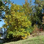 Naturoase Muehlviertel *