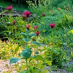 Naturoase Mühlviertel Sankt Johann am Wimberg