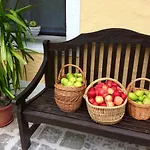 Apartment Naturoase Muehlviertel Sankt Johann am Wimberg