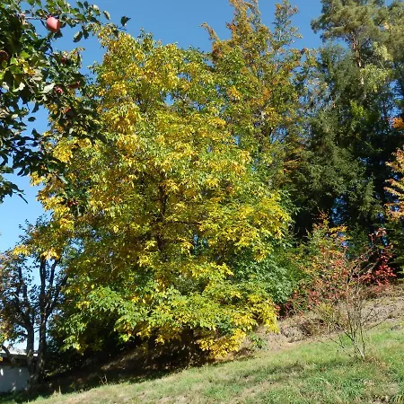 Naturoase Mühlviertel *