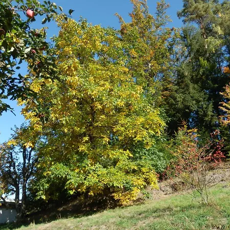 Naturoase Muehlviertel *