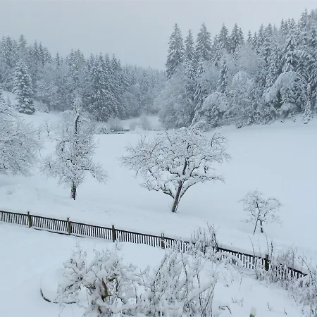 Naturoase Muehlviertel アパート Sankt Johann am Wimberg