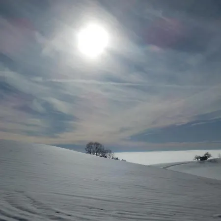 アパート Naturoase Muehlviertel Sankt Johann am Wimberg