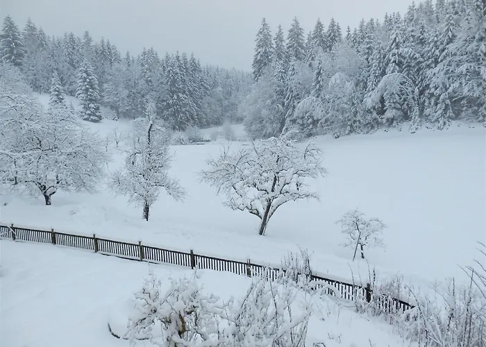 Naturoase Muehlviertel Apartamento Sankt Johann am Wimberg