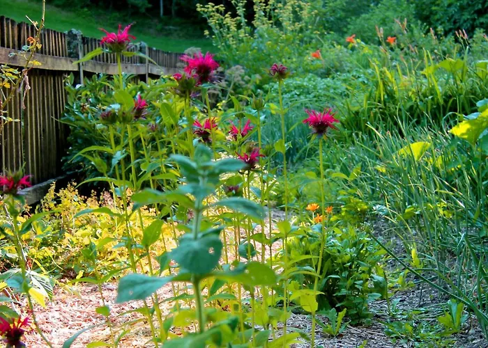 Naturoase Muehlviertel Sankt Johann am Wimberg