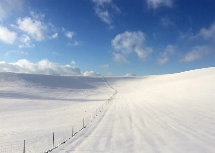 穆尔威耶特尔自然公寓 *