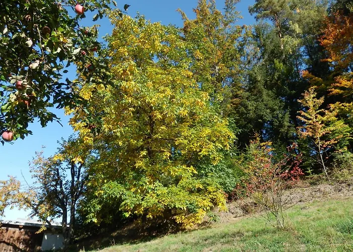 Naturoase Muehlviertel *